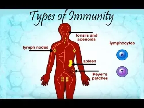 Immuniti+ : تكوين المكونات الطبيعية فقط